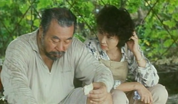 国产精品人成电影在线观看:13-15-18-23-34-45X：49,关于国产精品人成电影的在线观看，探索与赏析