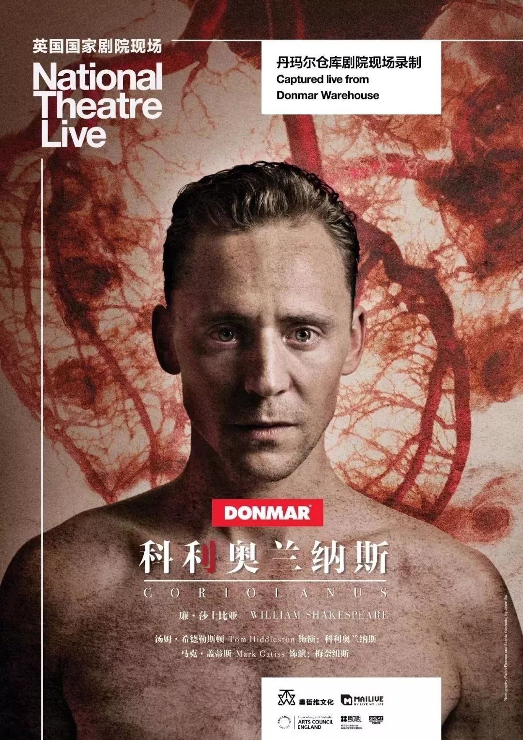 欧美亚洲精品中文字幕乱码:07-10-13-14-18-20C：41,欧美亚洲精品中文字幕乱码，探索数字时代的文化交融与挑战