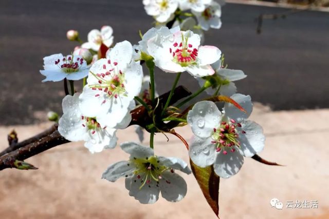 五月丁香六月综合缴情基地:01-10-12-15-22-46N:21,五月丁香与六月综合缴情基地,一个数字世界的交汇点 01-10-12-15-22-46N,21 五月丁香六月综合缴情基地:01-10-12-15-22-46N:21,五月丁香与六月综合缴情基地,一个数字世界的交汇点 01-10-12-15-22-46N,21