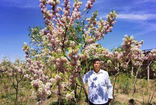 五月丁香六月综合缴情基地:01-10-12-15-22-46N:21,五月丁香与六月综合缴情基地,一个数字世界的交汇点 01-10-12-15-22-46N,21 五月丁香六月综合缴情基地:01-10-12-15-22-46N:21,五月丁香与六月综合缴情基地,一个数字世界的交汇点 01-10-12-15-22-46N,21