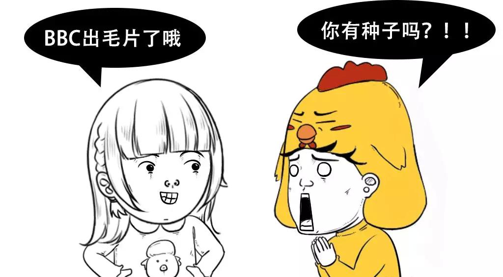 国产毛片毛多水多的特级毛片:02-06-20-23-45-49G：06,探索国产毛片的新领域，特级毛片的特点与价值