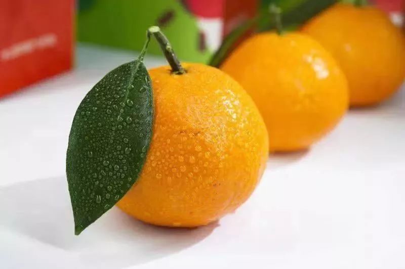 51久久夜色精品国产水果派解说:22-28-30-34-38-46A：02,探索国产水果派的奥秘，从久久夜色精品看中国水果产业的独特魅力与未来展望（关键词，国产水果派解说，22-28-30-34-38-46A，02）