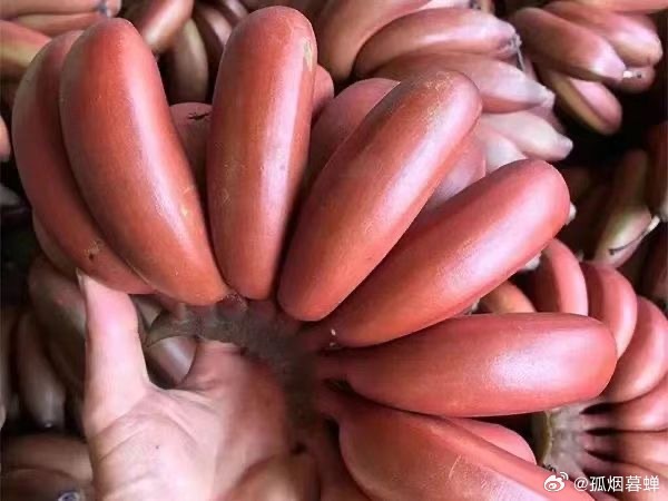 久久大香伊蕉在人线免费:02-07-08-29-37-40A：44,久久大香伊蕉在人线免费，探索未知世界的诱惑与警示