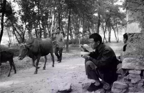 国产乡下三级全黄三级:09-12-14-33-38-42Y：36,国产影视产业中的乡土风情与三级文化，深度解读与反思