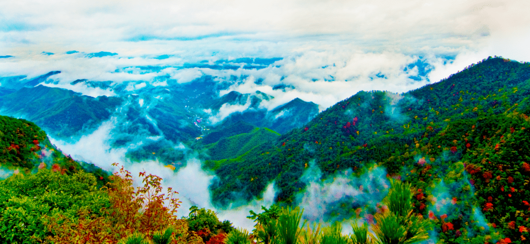 黑人又大又粗弄得我好爽:01-15-16-33-43-47M：16,关于黑人文化与个人体验的一种独特视角，一种超越刻板印象的探讨