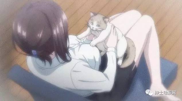 动漫av一区二区在线观看:12-35-37-41-46-49A：20,动漫AV一区二区在线观看，探索数字时代的二次元文化盛宴