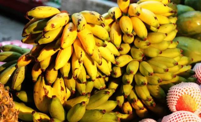 2020精品国产福利在线观看香蕉:01-12-13-15-22-27G:32,探索精品国产福利,一场视觉盛宴的在线观看之旅 2020精品国产福利在线观看香蕉:01-12-13-15-22-27G:32,探索精品国产福利,一场视觉盛宴的在线观看之旅