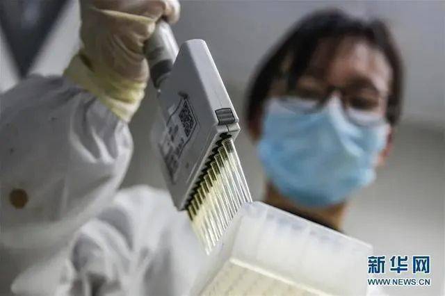 久久精品第一国产久精国产宅男66:04-11-12-16-17-32M：04,久久精品第一国产久精国产宅男世界，探索与赏析