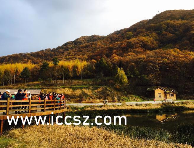 yy1111111少妇影院光屁股:02-15-21-33-39-45A：02,探索yy1111111少妇影院，品味独特的光屁股影像艺术