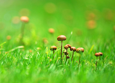 青草青99久久99九九99九九九:09-20-23-45-47-48M：08,青草青99久久，岁月如歌映九九