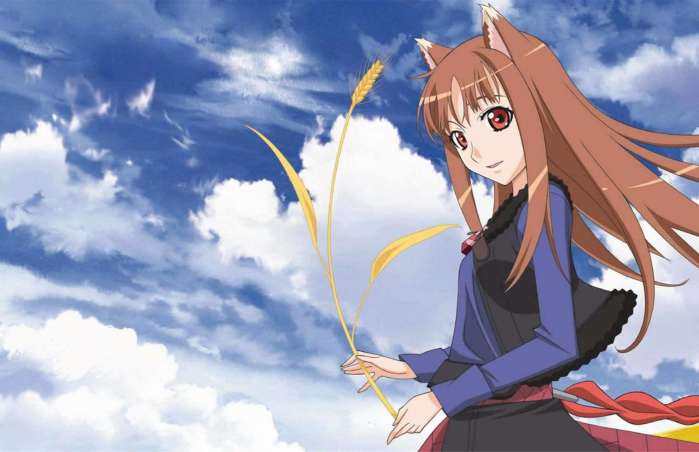 野花日本高清完整版在线观看动漫:08-29-36-41-46-49U：49,探索日本动漫之美，野花高清完整版在线观看