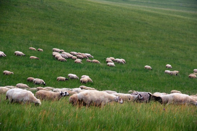 亚洲高清国产av拍精品青青草原:03-07-11-26-27-31B：02,青青草原上的高清国产精品影像探索之旅，一场视听盛宴的探寻之旅（关键词，亚洲高清国产AV拍精品）