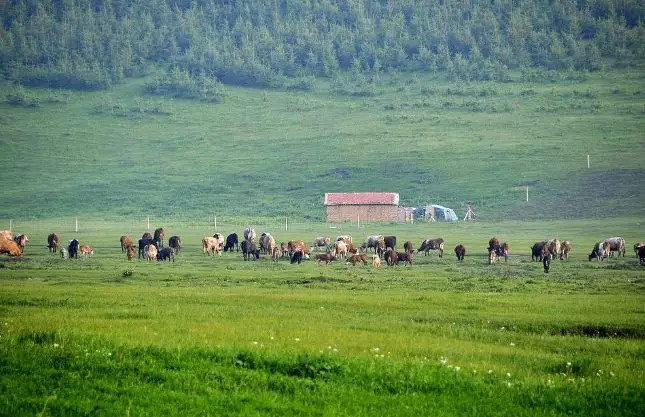 亚洲高清国产av拍精品青青草原:03-07-11-26-27-31B：02,青青草原上的高清国产精品影像探索之旅，一场视听盛宴的探寻之旅（关键词，亚洲高清国产AV拍精品）