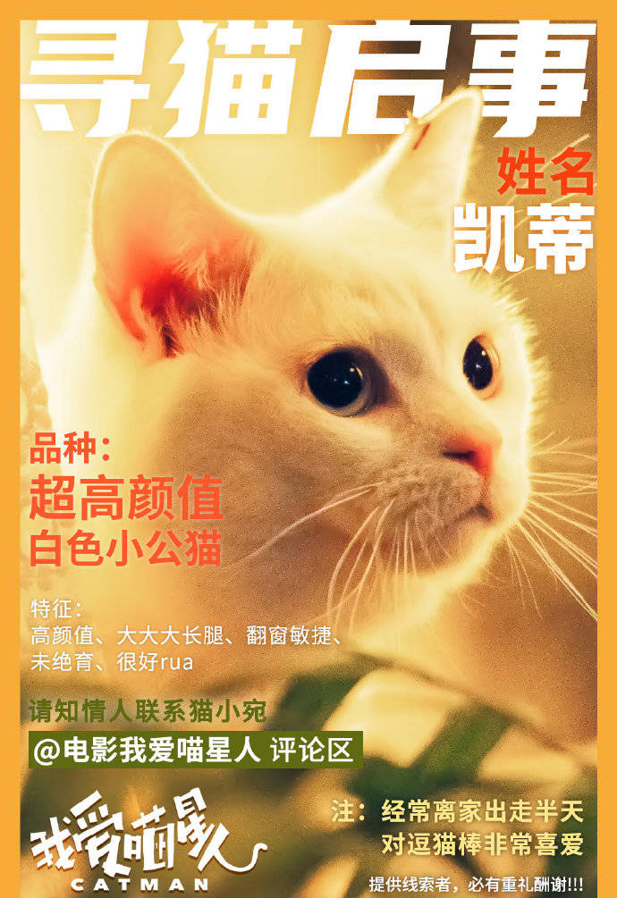 国产精品国产三级国产av品爱网:06-23-25-28-37-45Q：10,探索国产精品影视，品爱网与国产AV的独特魅力