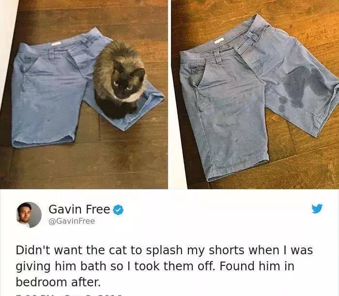 又爽又黄又无遮挡的视频在线观看:02-04-25-42-47-49X:35,探索网络世界的独特魅力,又爽又黄又无遮挡的视频在线观看 又爽又黄又无遮挡的视频在线观看:02-04-25-42-47-49X:35,探索网络世界的独特魅力,又爽又黄又无遮挡的视频在线观看