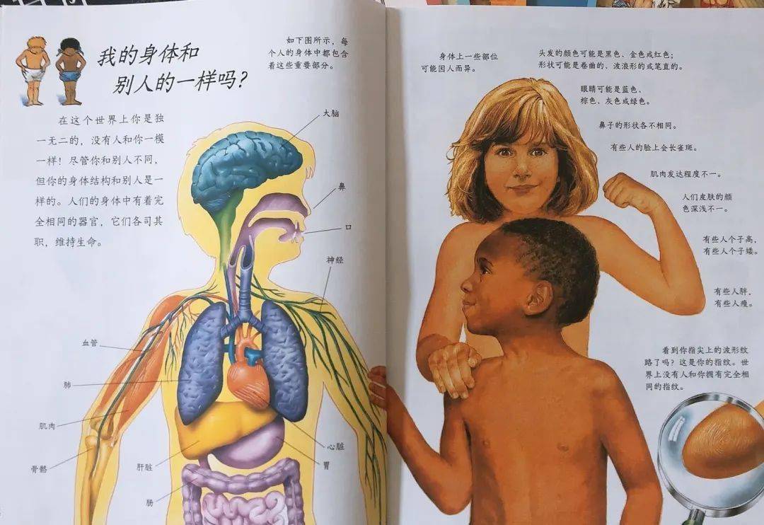 啊轻点灬两个大JI巴太粗太长了:08-11-24-30-35-41T:46,探索身体语言,关于身体形态与感知的探讨 啊轻点灬两个大JI巴太粗太长了:08-11-24-30-35-41T:46,探索身体语言,关于身体形态与感知的探讨