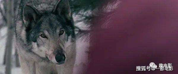 97SE狠狠狠狠狼鲁亚洲综合色:06-08-15-29-44-49A:33,探索97SE,亚洲综合色的独特魅力与狠狠狼鲁的传说 97SE狠狠狠狠狼鲁亚洲综合色:06-08-15-29-44-49A:33,探索97SE,亚洲综合色的独特魅力与狠狠狼鲁的传说