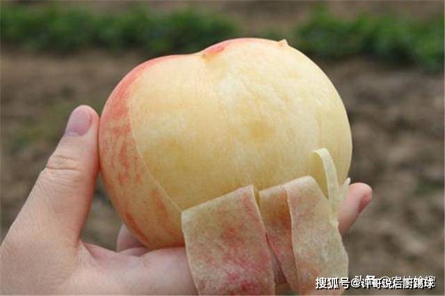 水蜜桃99久久精品免费观看国产:09-24-25-29-38-44K：44,关于水蜜桃99久久精品免费观看国产的一些深度探讨