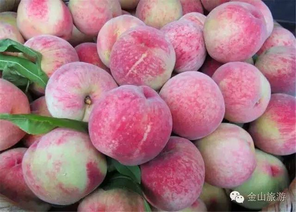 水蜜桃99久久精品免费观看国产:09-24-25-29-38-44K:44,关于水蜜桃99久久精品免费观看国产的一些深度探讨 水蜜桃99久久精品免费观看国产:09-24-25-29-38-44K:44,关于水蜜桃99久久精品免费观看国产的一些深度探讨