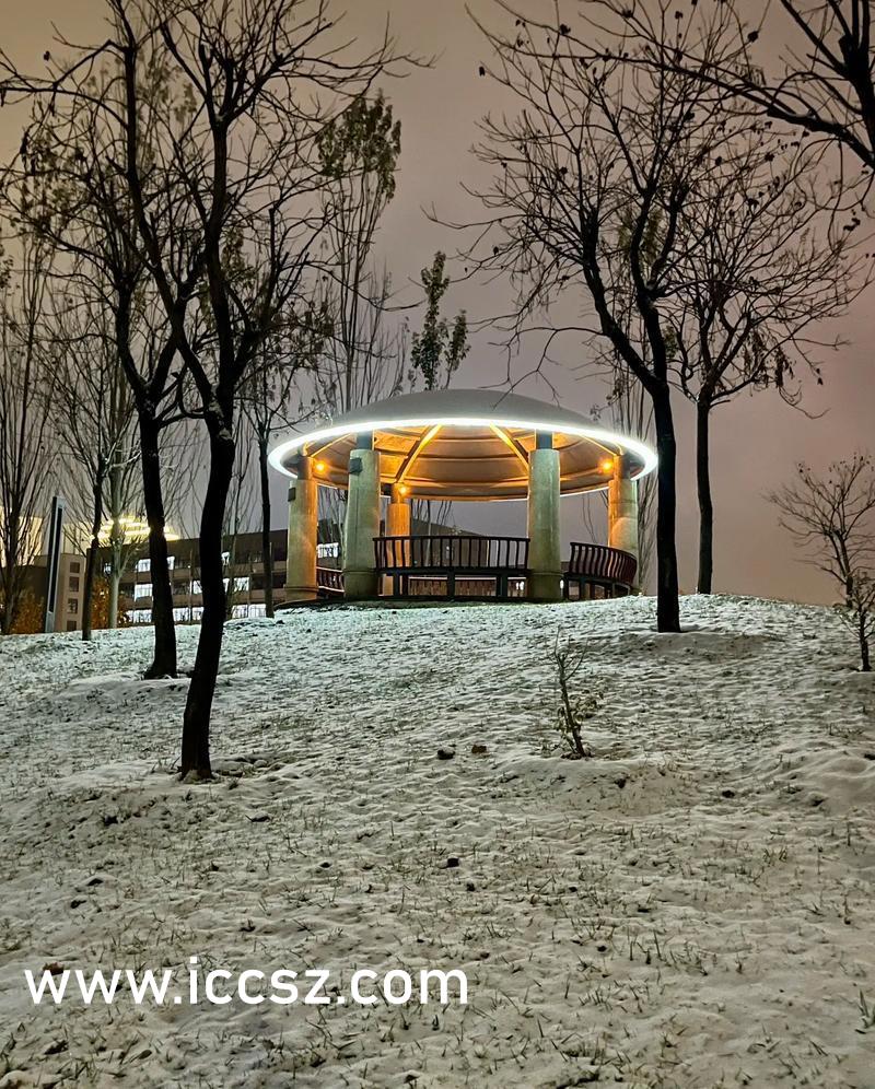 国产精品午夜爆乳美女视频免费:07-11-29-36-40-44M：29,国产精品午夜爆乳美女视频免费，探索真实与幻想的交融之美