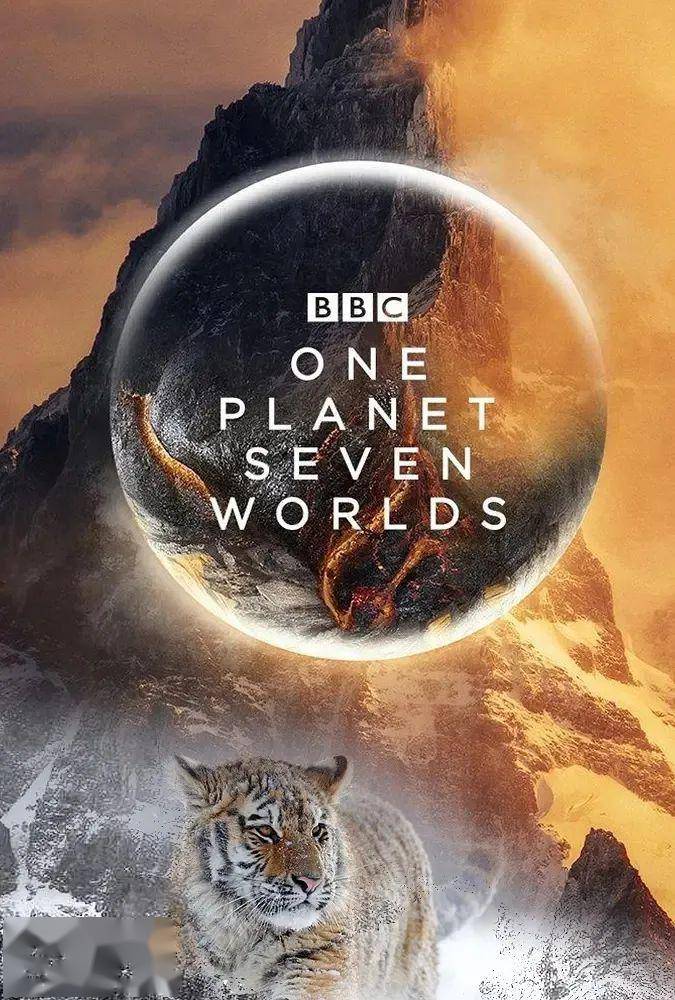 精品一卡2卡三卡4卡免费视频:14-20-21-25-38-46L:01,探索精品视频世界,免费一卡至四卡探索之旅 精品一卡2卡三卡4卡免费视频:14-20-21-25-38-46L:01,探索精品视频世界,免费一卡至四卡探索之旅