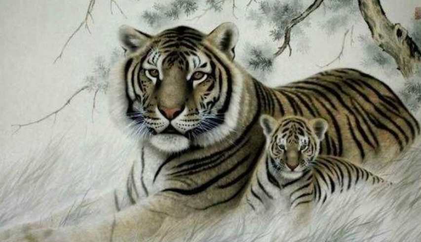 四虎国产精品亚洲一区久久特色:01-36-37-43-44-45J:45,四虎国产精品亚洲一区久久特色,探索与赏析 四虎国产精品亚洲一区久久特色:01-36-37-43-44-45J:45,四虎国产精品亚洲一区久久特色,探索与赏析