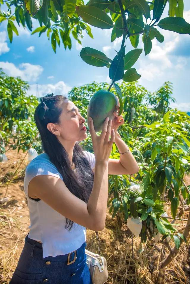 2021精品1区2区3区芒果:02-14-20-24-26-49L:42,探索精品芒果之旅,从一区到三区的故事 2021精品1区2区3区芒果:02-14-20-24-26-49L:42,探索精品芒果之旅,从一区到三区的故事