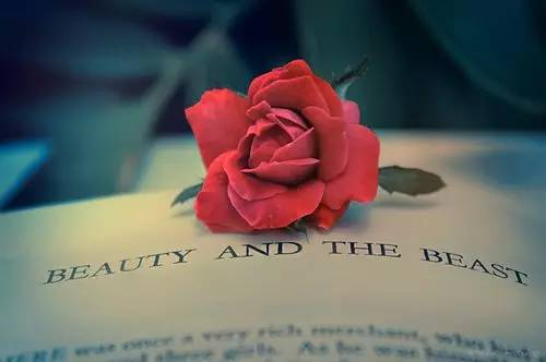 午夜精品久久久久久久99蜜桃:04-05-11-14-17-23R：26,午夜精品久久久久久久蜜桃，一场深夜的甜蜜邂逅与独特体验