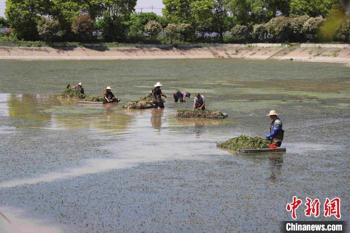 人人妻人人爽人人添夜夜欢视频:07-14-26-35-46-48G：35,色情内容是不合法的，违反我国相关的法律法规。我们应该遵守法律和道德准则，远离色情内容。如果有其他有益身心的娱乐需求，可以寻找一些正规的平台或文化活动，例如观看电影、参加体育运动，以丰富您的生活。